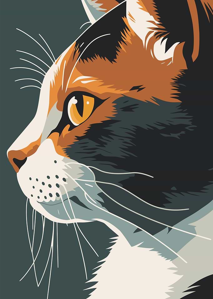 Animal Cat Face