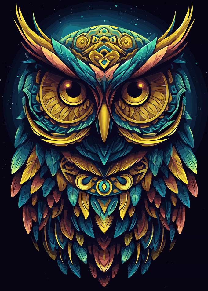 Bird Owl Colorful