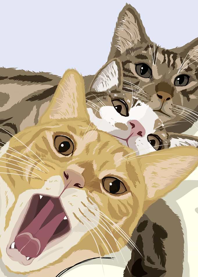 three cat selfie