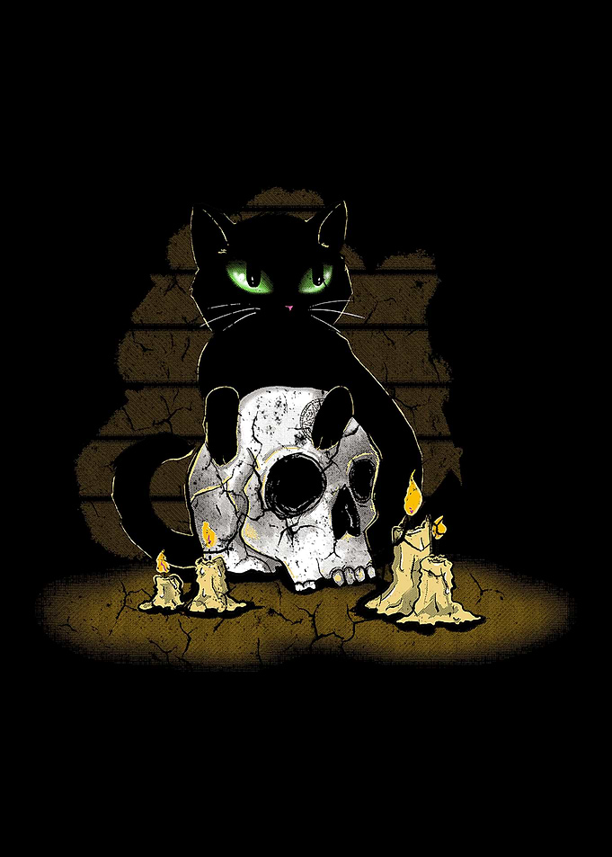 black cat