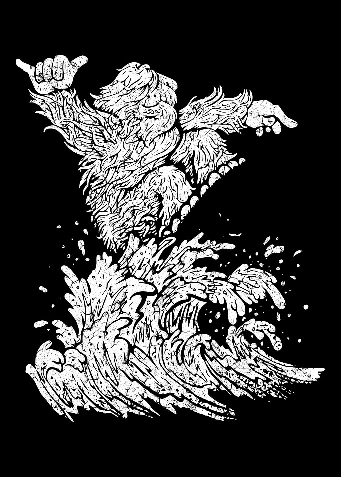 yeti surf