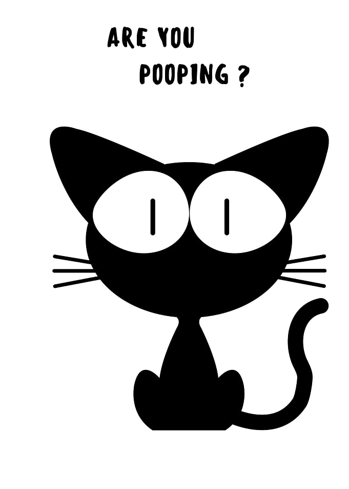 BLACK CAT ARE YOU POOPING