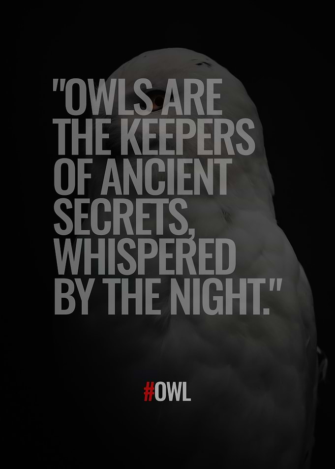 Owl Quotes