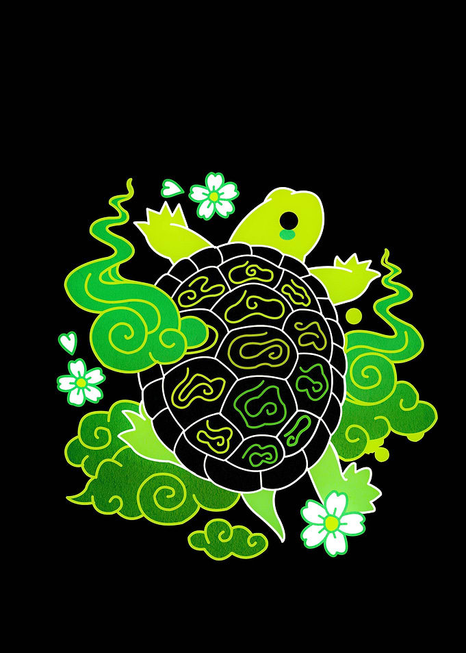 turtle cute animal