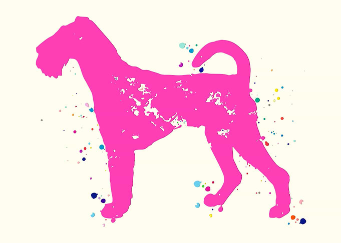Airedale Terrier