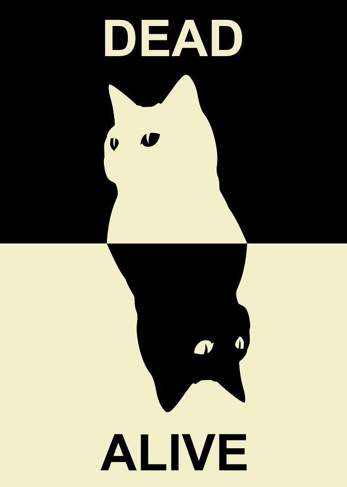Life and Death of Cats