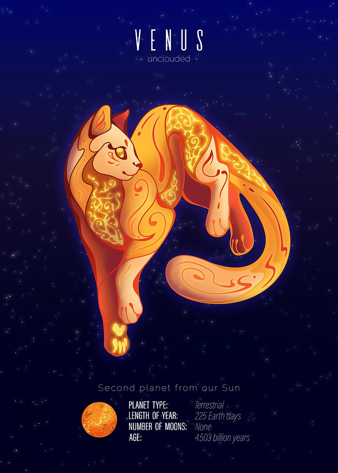 Venus Unclouded