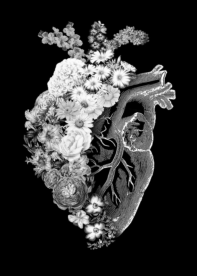 Flower Heart Spring Black