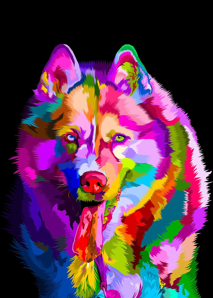 Animal Alaskan Dog