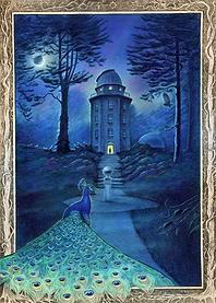 Observatory