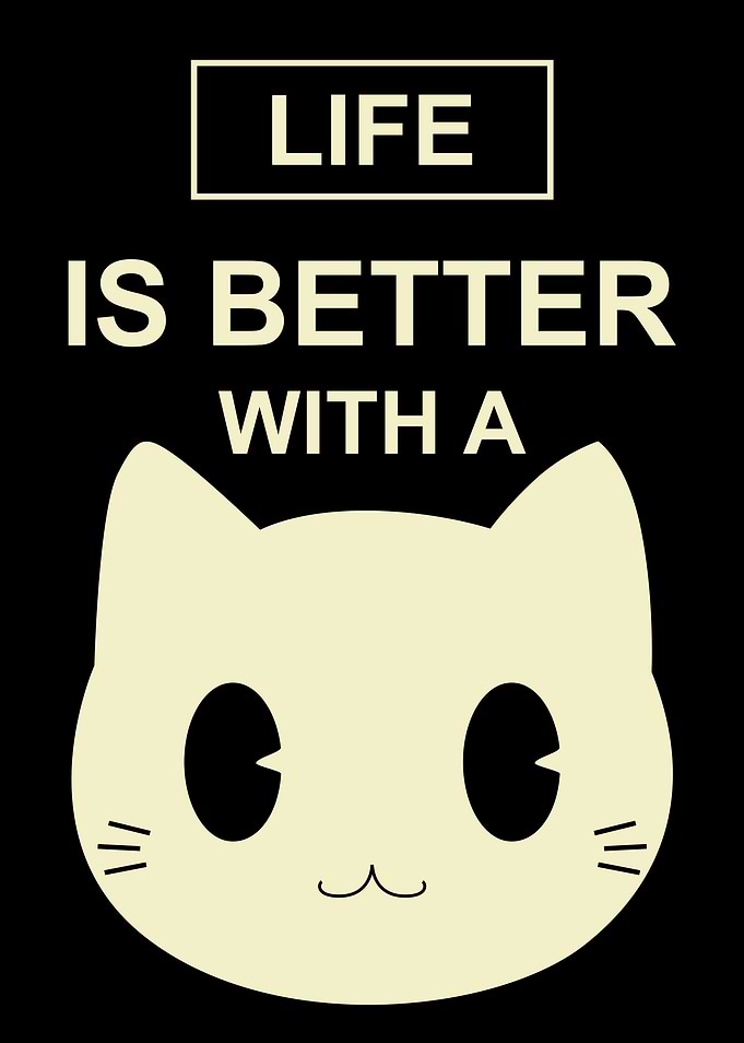 Life is better with a cat
