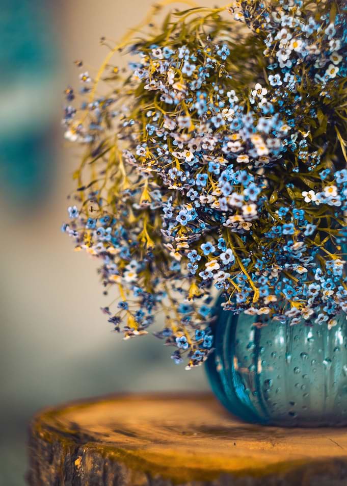 Blue flowers