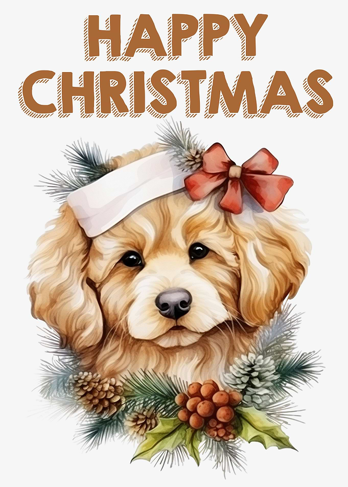 Merry Christmas little Dog