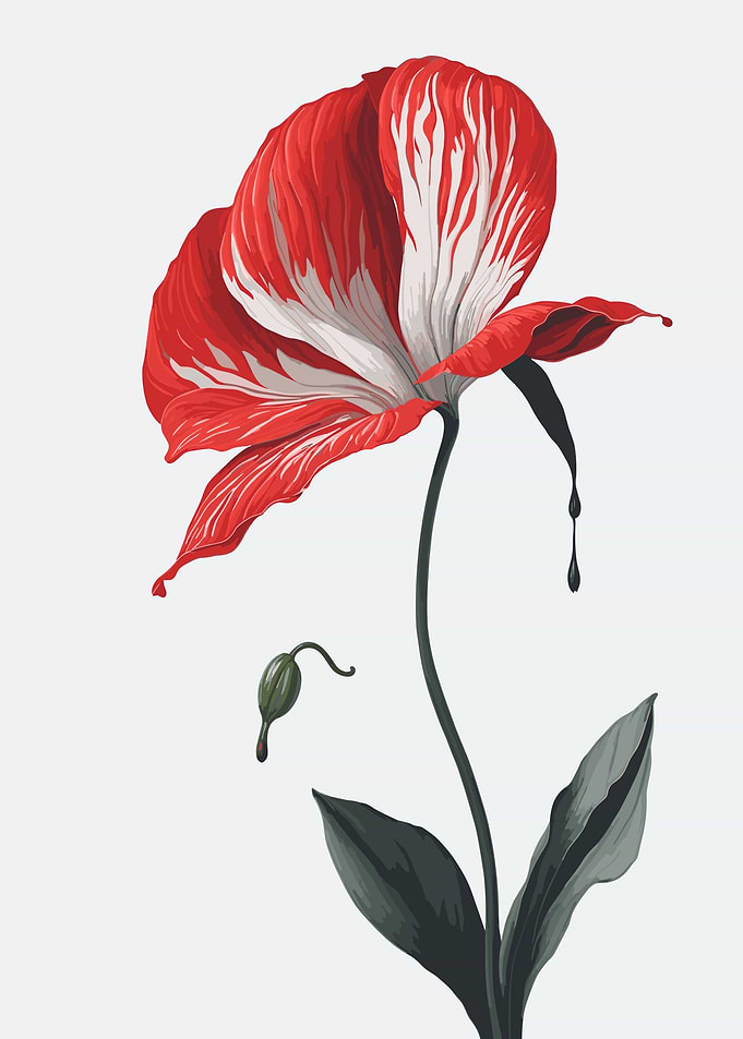 Anthurium