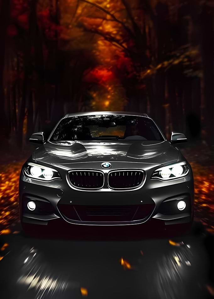 BMW CAR