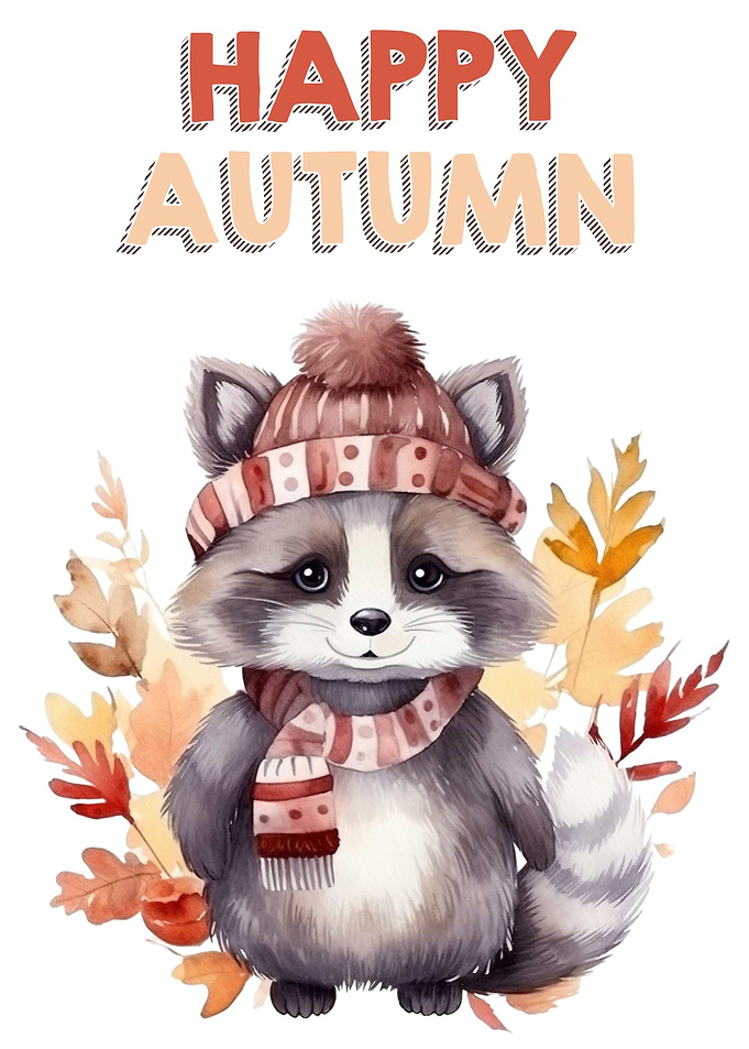 Happy Raccoon