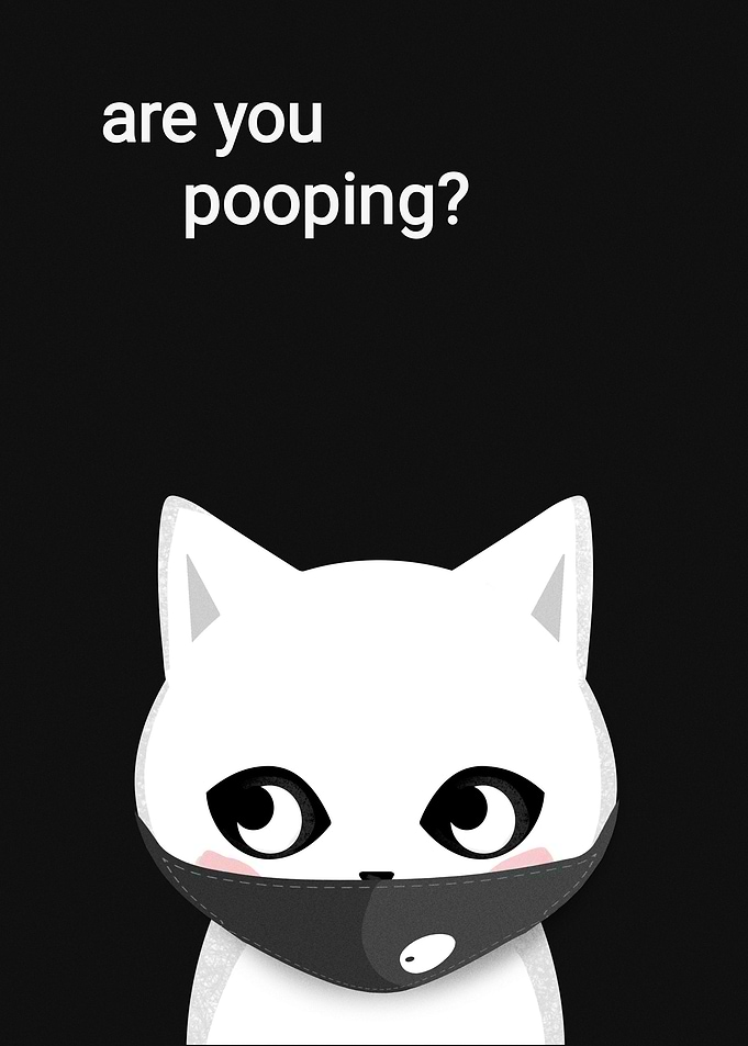 WHITE CAT ARE YOU POOPING