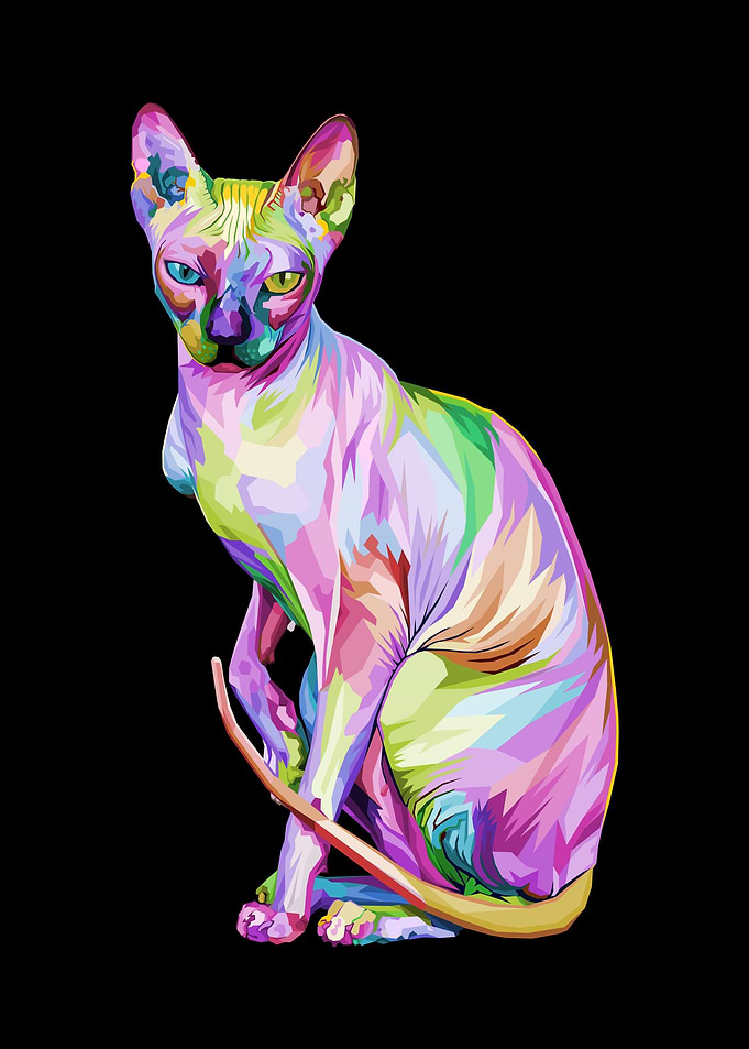 Animal Spinx Cat