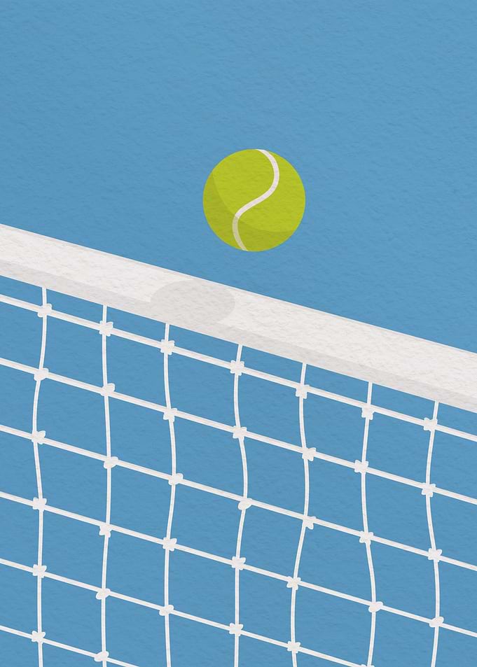 Tennis Ball Hitting Net