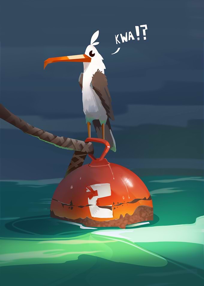 Confused Gull