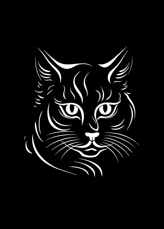 Cat Illustration