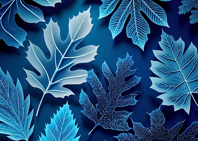 cold winter leaf