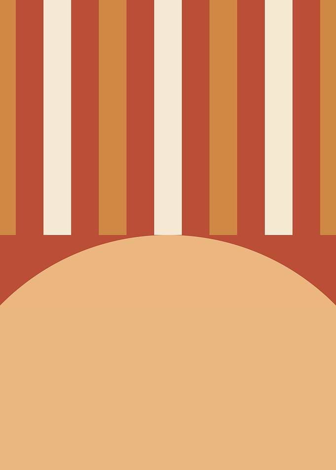 Mid Century Rustic Warmth