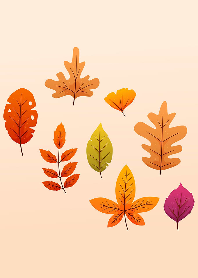Autumn Leaves
