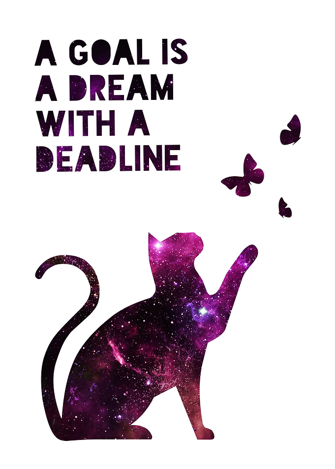 Abstract Cat and Butterfly