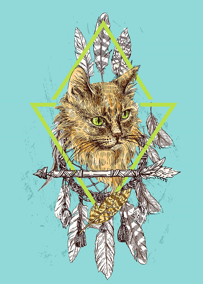 Animal Aesthetic Cats