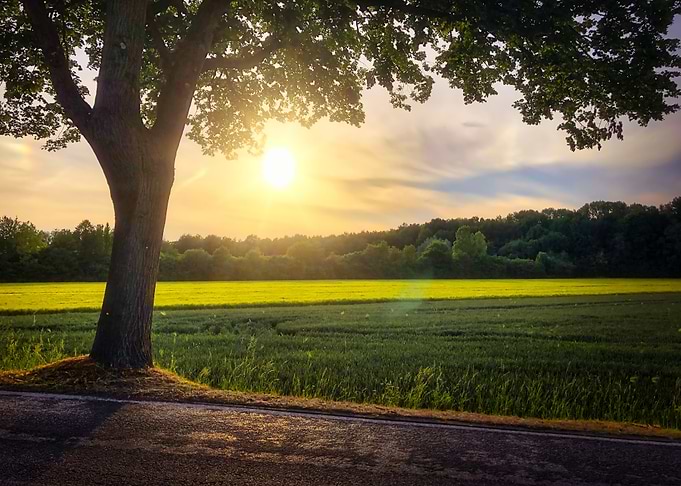 Breathtaking Sunset