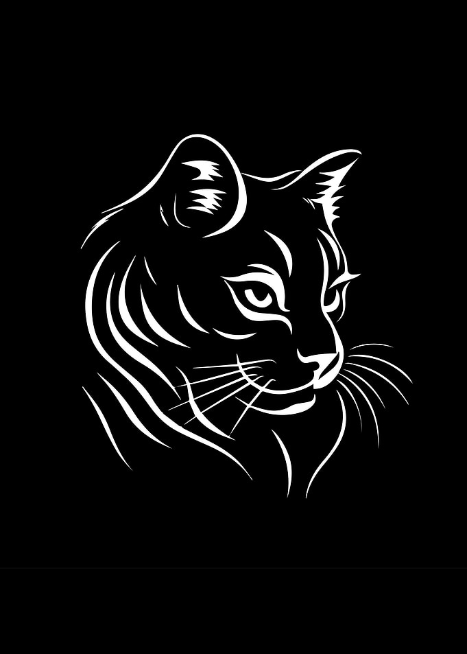 Cat Illustration