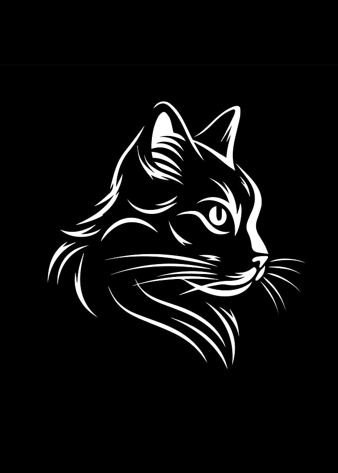 Cat Illustration