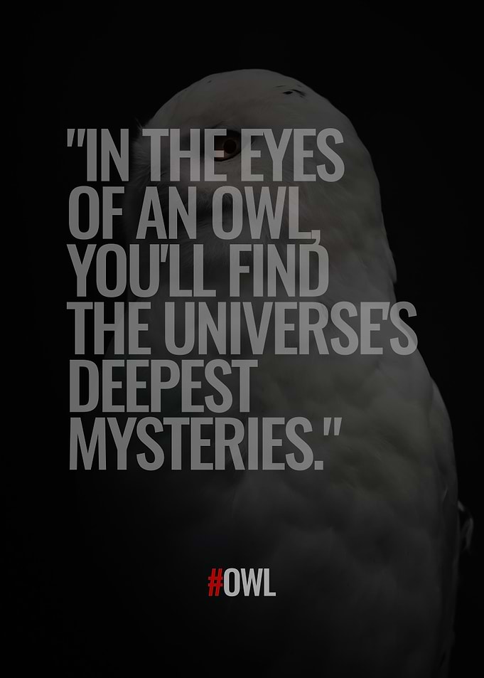 Owl Quotes