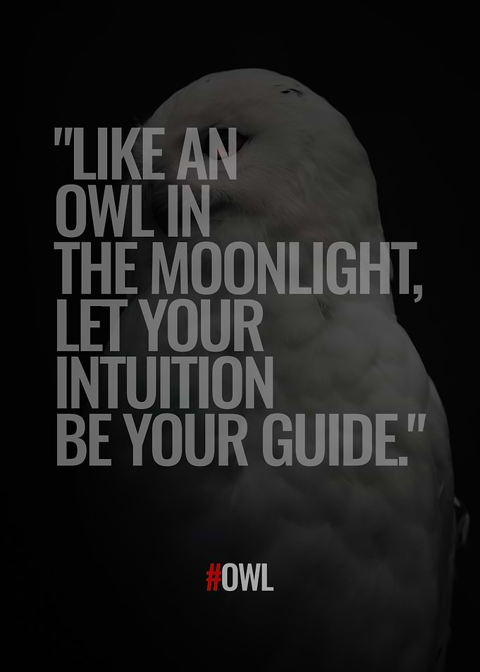 Owl Quotes
