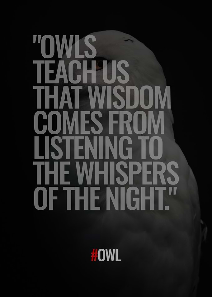 Owl about Quotes