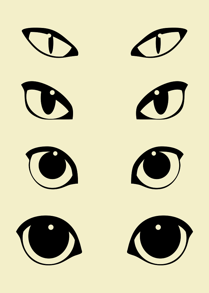 Cat Eye