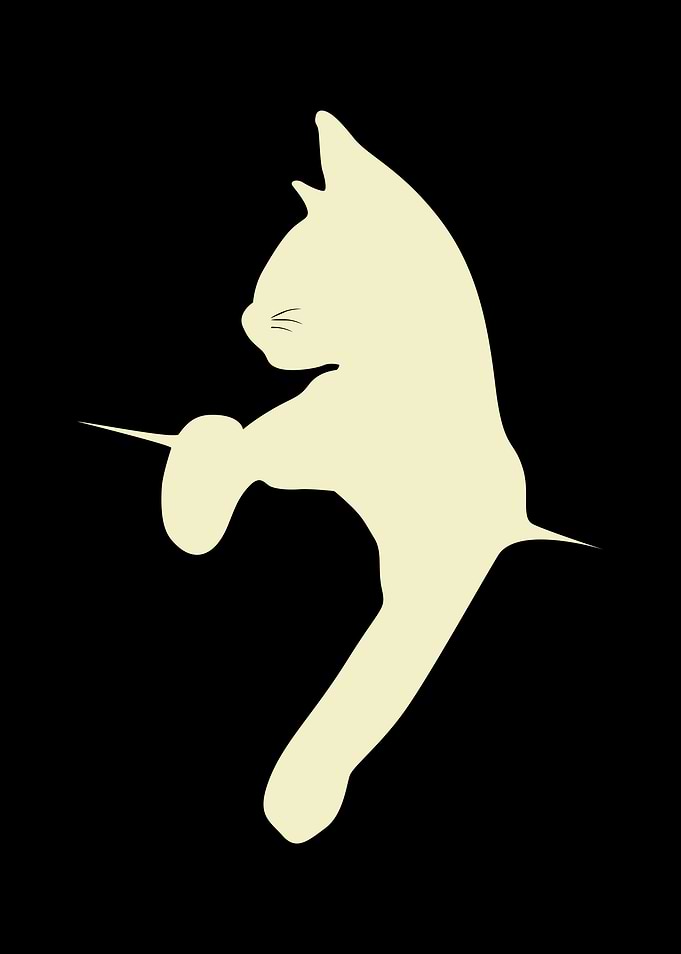 Cat Leaning 2
