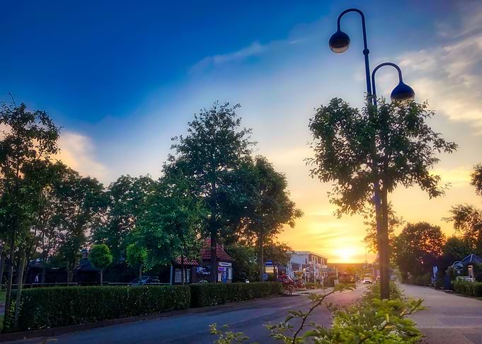Enchanting Evening