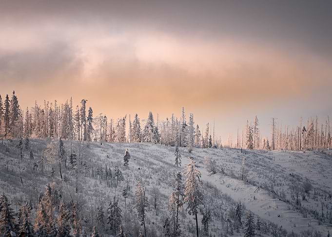 Winter Tatras in Slovakia