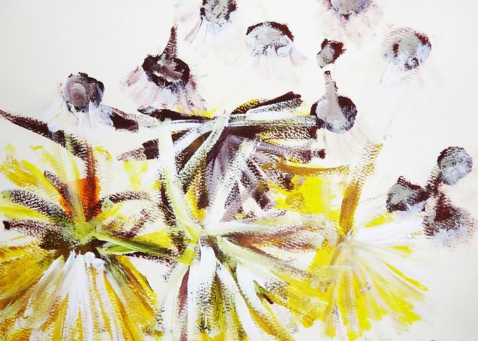 YELLOW FLOWERS WITH WHITE