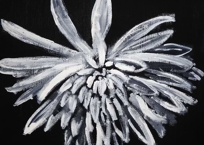 WHITE CHRYSANTHEMUM