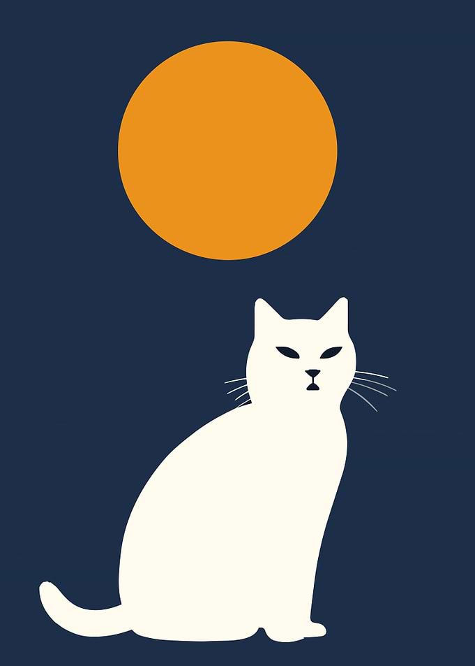 Minimalist Cat