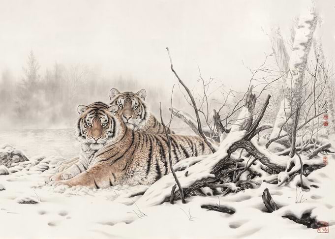 Japan Japanese Tiger
