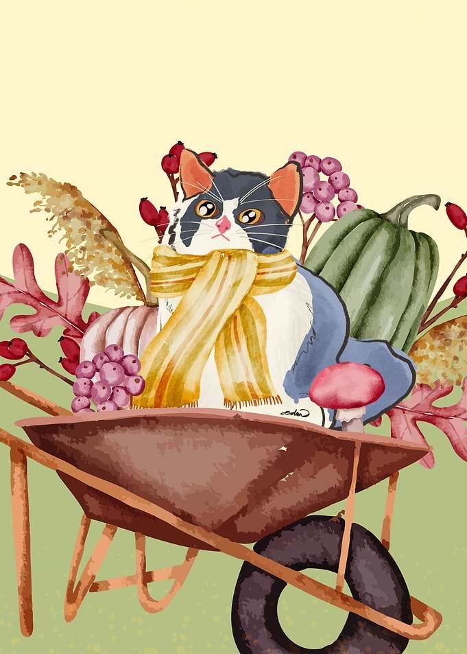 Feline Fall Fun
