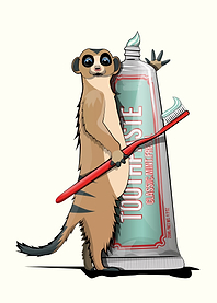 Meerkat Brushing Teeth