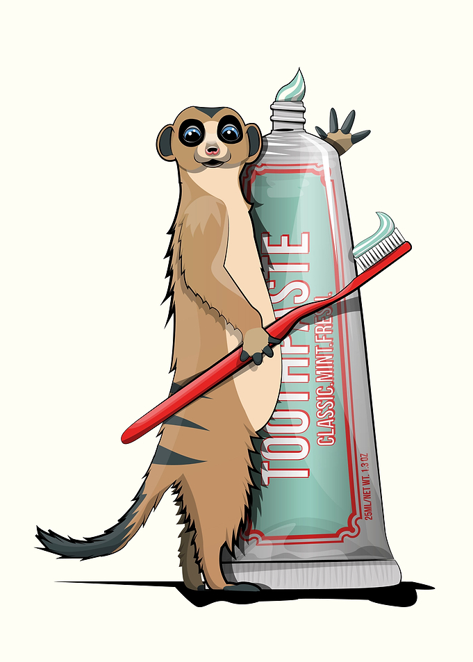Meerkat Brushing Teeth