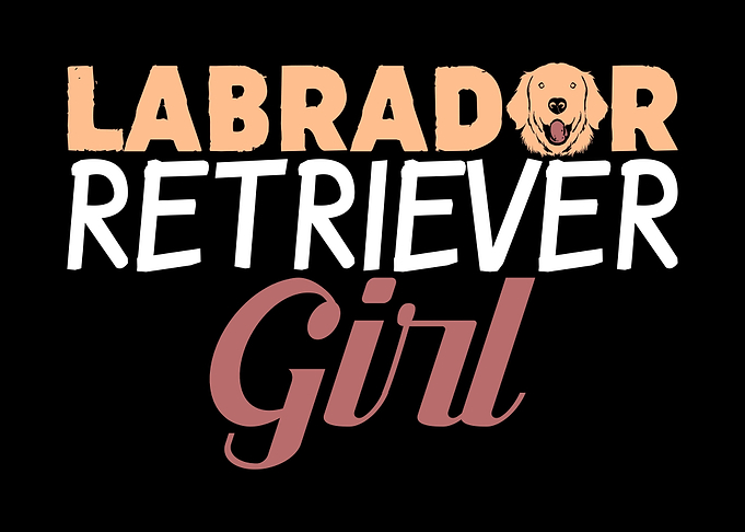 Labrador Retriever Girl