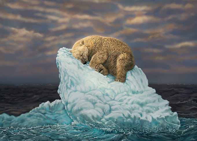 Sleeping Polar