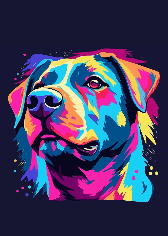 Animal Rottweiler Dog